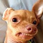 lorem ipsum dolor sit